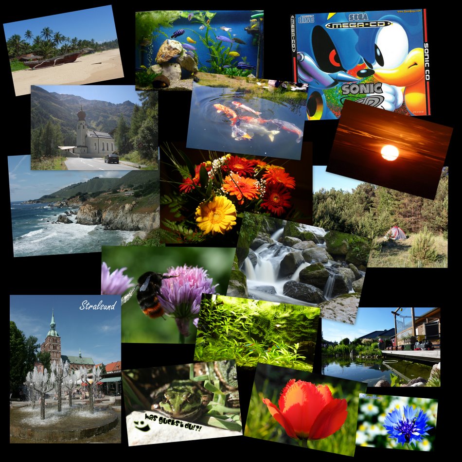 Collage von Jan Rehschuh: persönliche Bilder, SonicCD Cover, Stralsund, Urlaube, Natur
